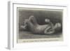 Body of a Child Found in Excavating a Street in Pompeii-null-Framed Giclee Print