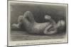 Body of a Child Found in Excavating a Street in Pompeii-null-Mounted Giclee Print