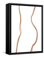 Body of a Woman-Ivy Green Illustrations-Framed Stretched Canvas