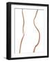 Body of a Woman-Ivy Green Illustrations-Framed Giclee Print