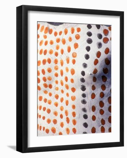 Body Paint on Karo Warrior, Ethiopia-Janis Miglavs-Framed Photographic Print