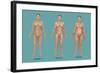 Body Types-Gwen Shockey-Framed Giclee Print