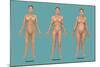 Body Types-Gwen Shockey-Mounted Giclee Print