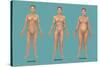 Body Types-Gwen Shockey-Stretched Canvas