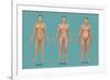 Body Types-Gwen Shockey-Framed Premium Giclee Print