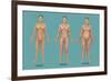 Body Types-Gwen Shockey-Framed Premium Giclee Print