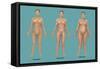Body Types-Gwen Shockey-Framed Stretched Canvas
