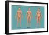 Body Types-Gwen Shockey-Framed Giclee Print