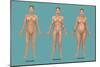 Body Types-Gwen Shockey-Mounted Giclee Print