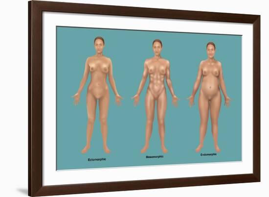 Body Types-Gwen Shockey-Framed Giclee Print