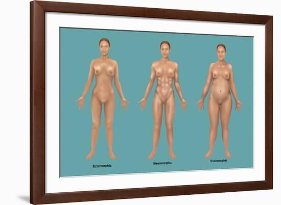 Body Types-Gwen Shockey-Framed Giclee Print