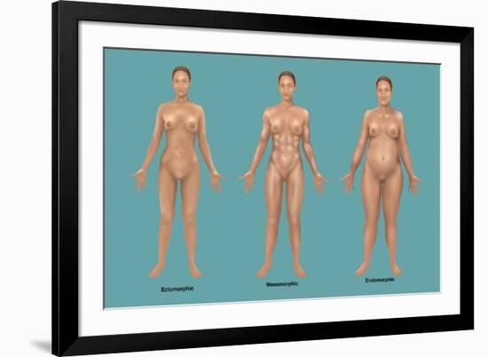 Body Types-Gwen Shockey-Framed Giclee Print