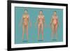 Body Types-Gwen Shockey-Framed Giclee Print