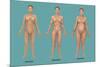 Body Types-Gwen Shockey-Mounted Giclee Print