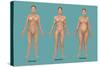 Body Types-Gwen Shockey-Stretched Canvas