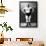 Bodybuilder in Hands on Hips Pose-null-Framed Art Print displayed on a wall