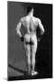 Bodybuilder's Back-null-Mounted Art Print