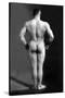 Bodybuilder's Back-null-Stretched Canvas