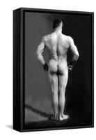Bodybuilder's Back-null-Framed Stretched Canvas
