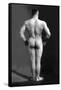 Bodybuilder's Back-null-Framed Stretched Canvas