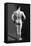 Bodybuilder's Back-null-Framed Stretched Canvas