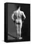 Bodybuilder's Back-null-Framed Stretched Canvas