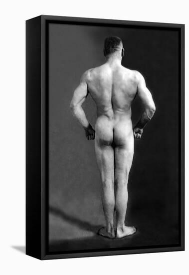 Bodybuilder's Back-null-Framed Stretched Canvas