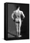 Bodybuilder's Back-null-Framed Stretched Canvas