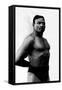 Bodybuilder's Shadowed Torso-null-Framed Stretched Canvas