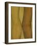 Bodykiss 7-Kenny Primmer-Framed Art Print