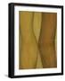 Bodykiss 7-Kenny Primmer-Framed Art Print