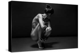 Bodyscape-Anton Belovodchenko-Stretched Canvas