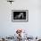 Bodyscape-Anton Belovodchenko-Framed Photographic Print displayed on a wall