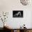 Bodyscape-Anton Belovodchenko-Mounted Photographic Print displayed on a wall