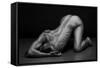 Bodyscape-Anton Belovodchenko-Framed Stretched Canvas