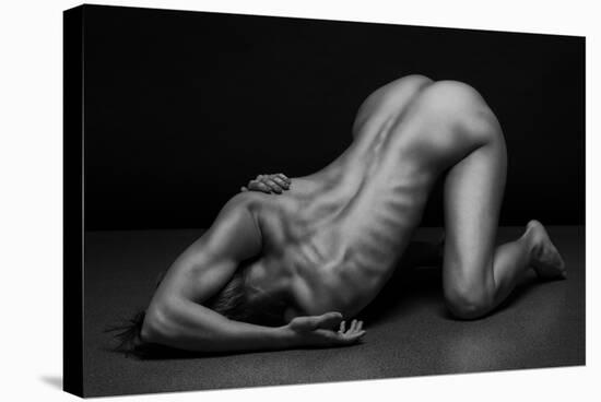 Bodyscape-Anton Belovodchenko-Stretched Canvas