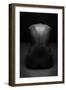 Bodyscape-Anton Belovodchenko-Framed Photographic Print