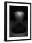 Bodyscape-Anton Belovodchenko-Framed Photographic Print