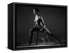 Bodyscape-Anton Belovodchenko-Framed Stretched Canvas