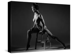 Bodyscape-Anton Belovodchenko-Stretched Canvas