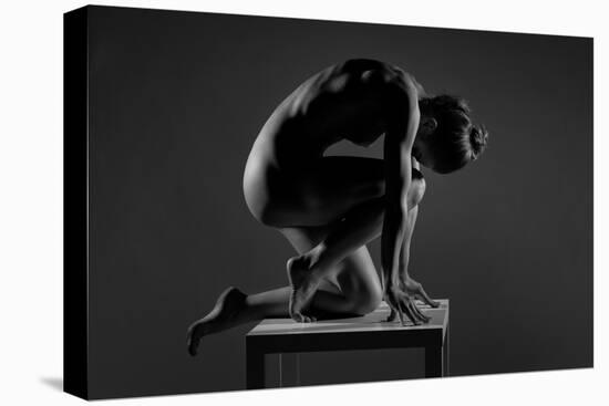 Bodyscape-Anton Belovodchenko-Stretched Canvas
