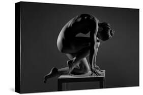 Bodyscape-Anton Belovodchenko-Stretched Canvas