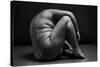 bodyscape-Anton Belovodchenko-Stretched Canvas