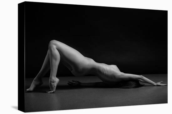 Bodyscape-Anton Belovodchenko-Stretched Canvas