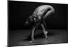 Bodyscape-Anton Belovodchenko-Mounted Giclee Print