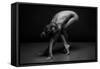 Bodyscape-Anton Belovodchenko-Framed Stretched Canvas