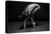 Bodyscape-Anton Belovodchenko-Stretched Canvas