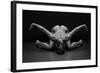 Bodyscape-Anton Belovodchenko-Framed Giclee Print