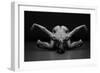 Bodyscape-Anton Belovodchenko-Framed Giclee Print