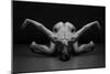 Bodyscape-Anton Belovodchenko-Mounted Giclee Print